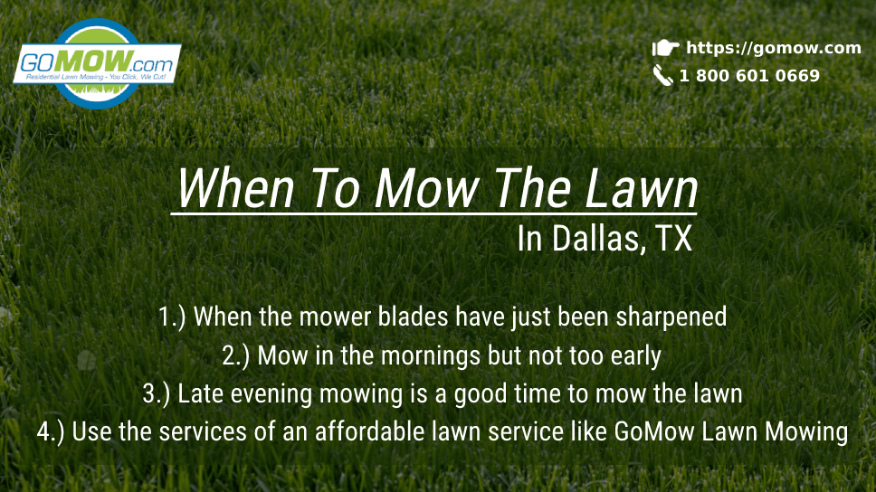 when-to-mow-the-lawn-in-dallas-tx