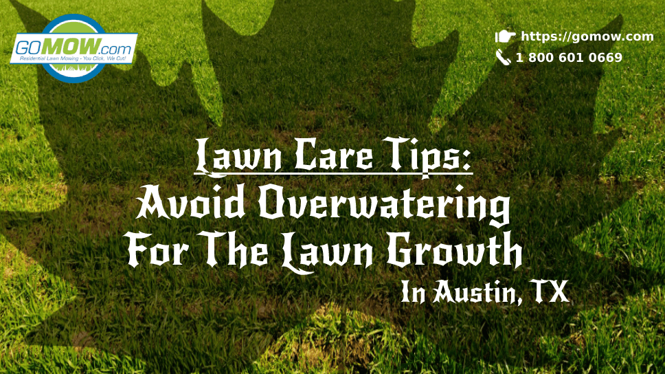 Lawn Care Tips: Avoid Overwatering For The Lawn Growth In Austin, TX