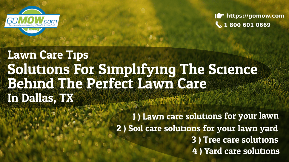Lawn Care Tips: Solutions For Simplifying The Science Behind The Perfect Lawn Care In Dallas, TX