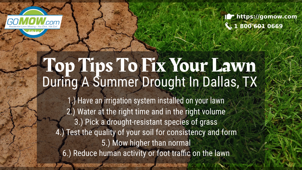 Top Tips To Fix Your Lawn During A Summer Drought In Dallas, TX