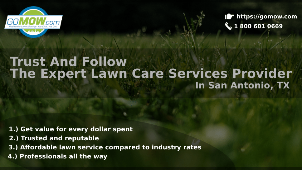 trust-and-follow-the-expert-lawn-care-services-provider-in-san-antonio-tx