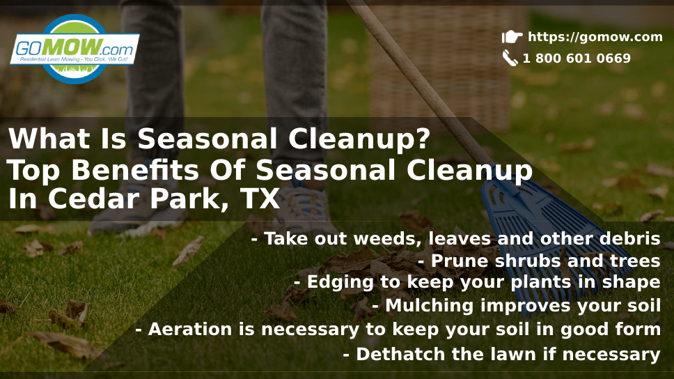 What Is Seasonal Cleanup? Top Benefits Of Seasonal Cleanup In Cedar Park, TX