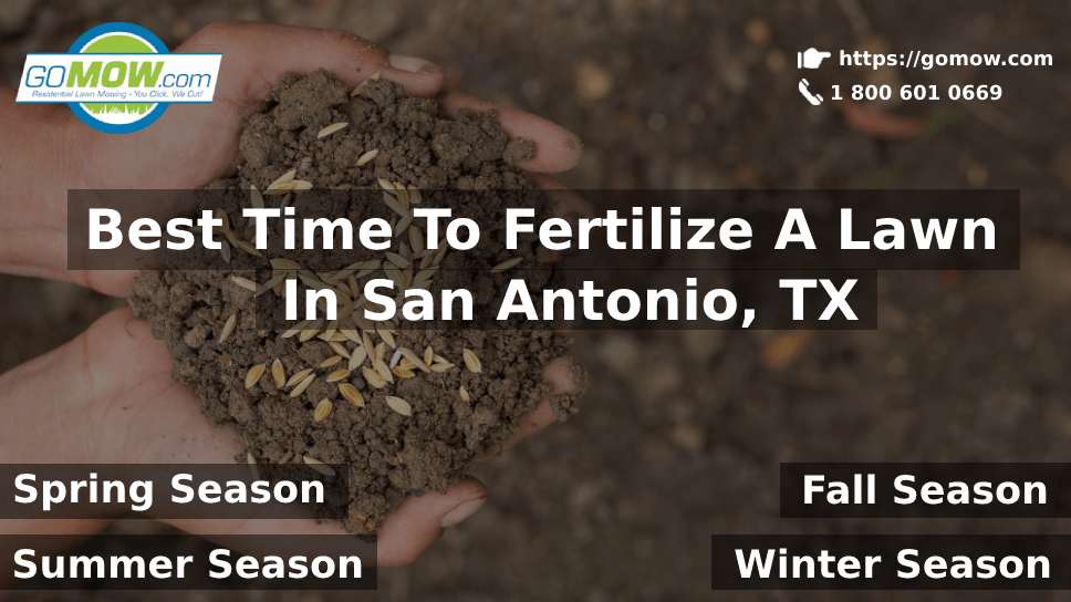 Best Time To Fertilize A Lawn In San Antonio, TX