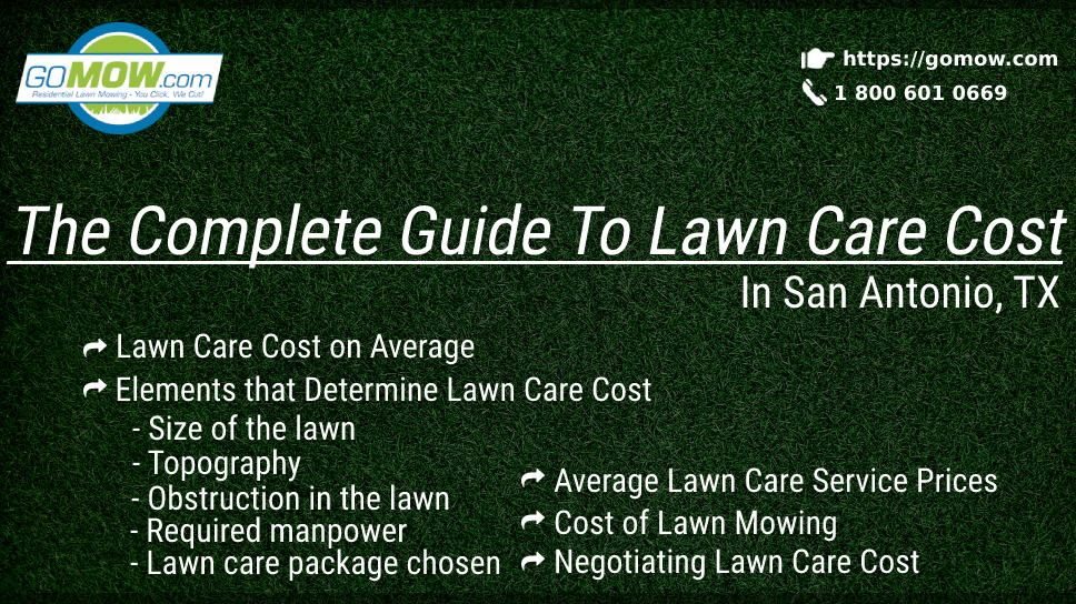 The Complete Guide To Lawn Care Cost In San Antonio, TX