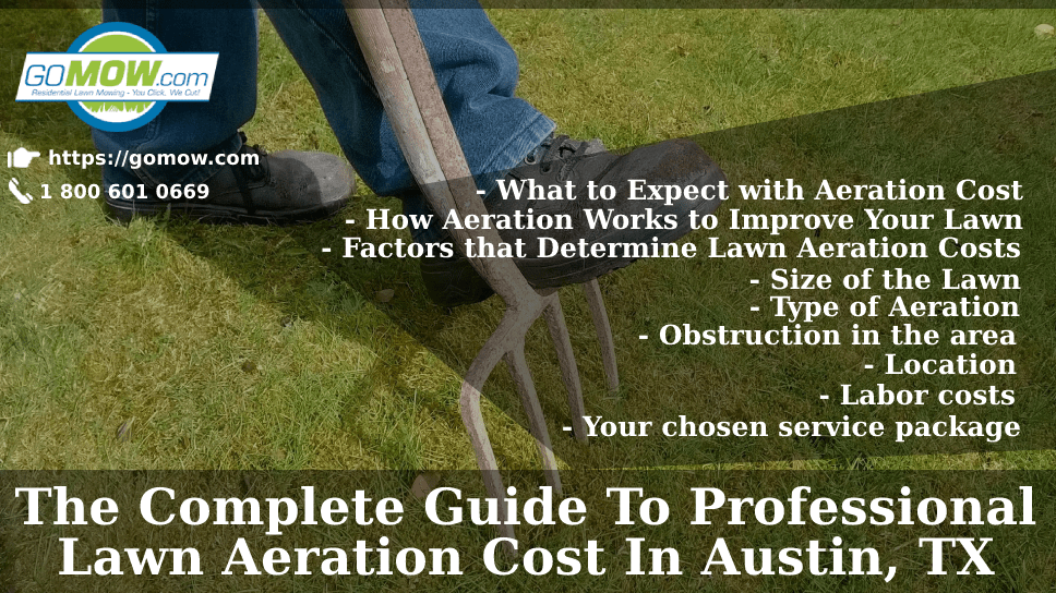 The Complete Guide To Professional Lawn Aeration Cost In Austin, TX