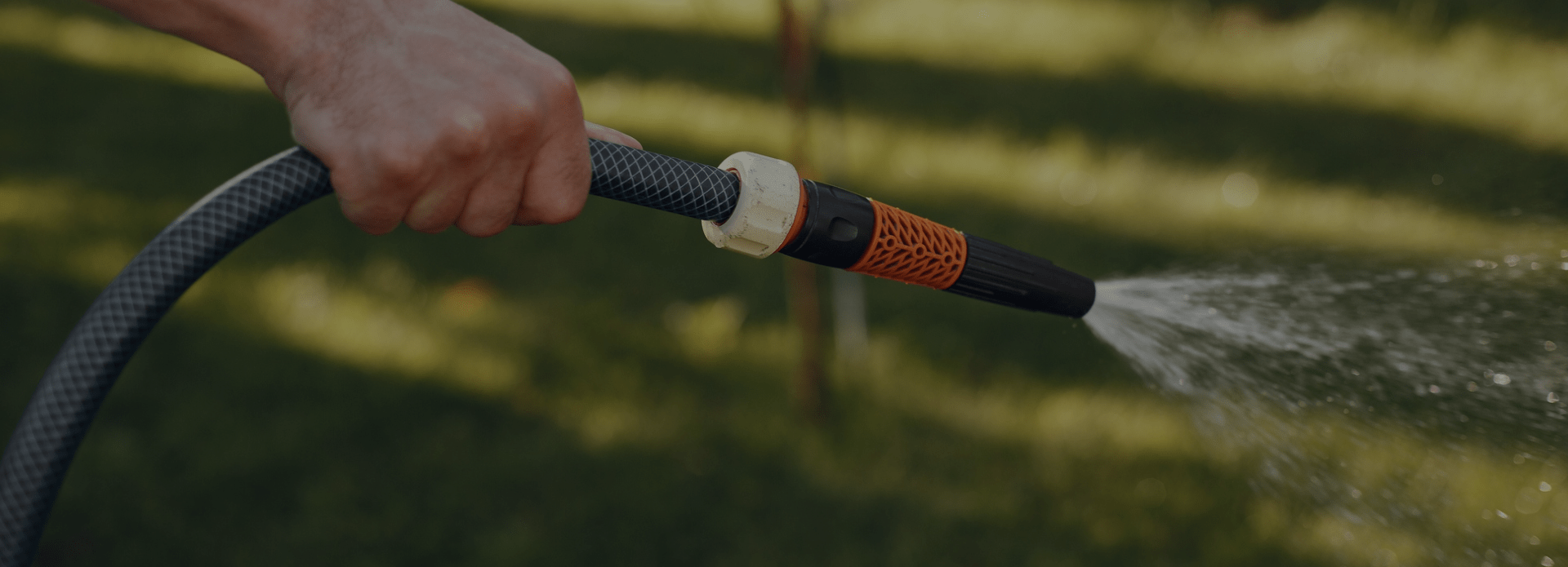 Lawn Mowing Service Texas