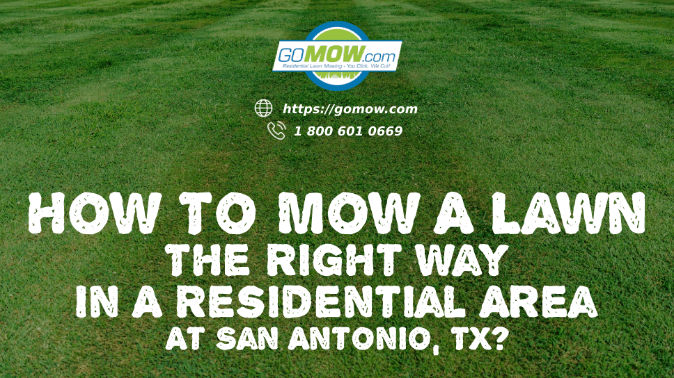 How To Mow A Lawn The Right Way In A Residential Area At San Antonio, TX?