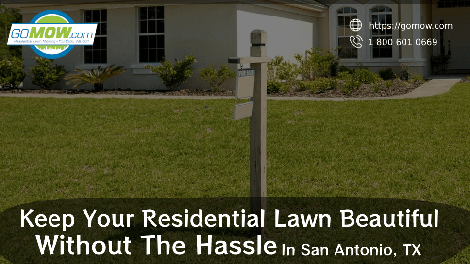 Keep Your Residential Lawn Beautiful Without The Hassle In San Antonio, TX