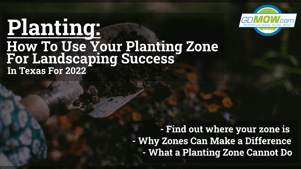 planting-how-to-use-your-planting-zone-for-landscaping-success-in-texas-for-2022