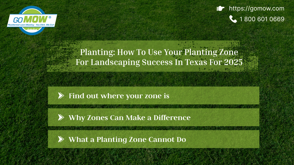 planting-how-to-use-your-planting-zone-for-landscaping-success-in-texas-for-2025