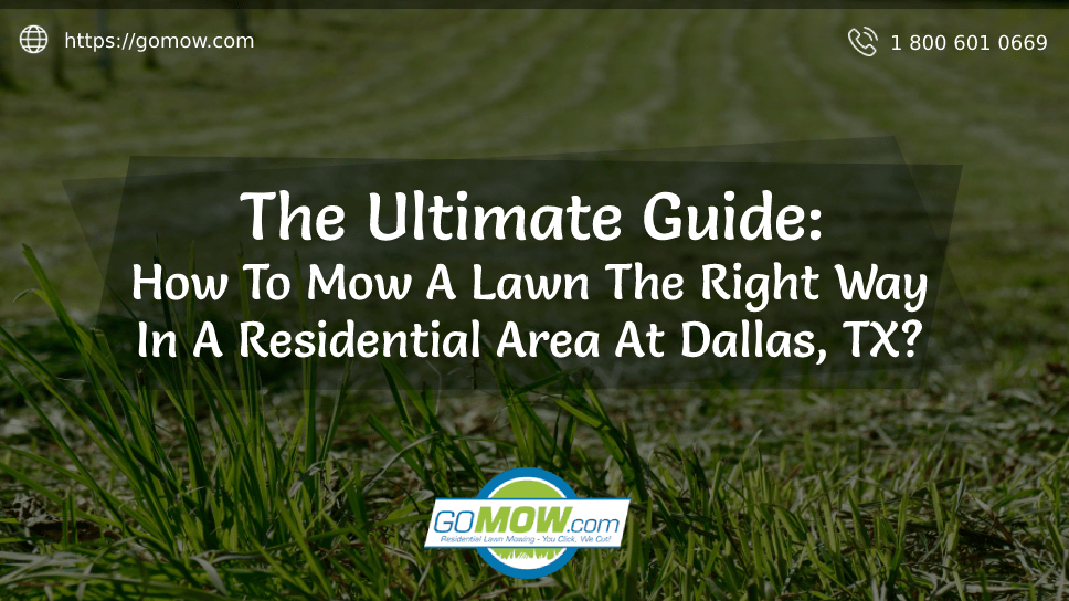 The Ultimate Guide: How To Mow A Lawn The Right Way In A Residential Area At Dallas, TX?