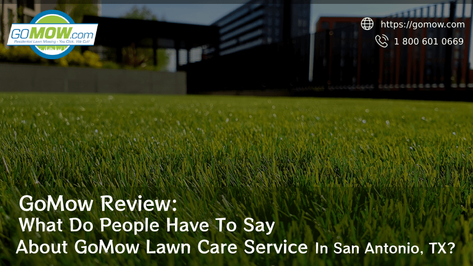 gomow-review-what-do-people-have-to-say-about-gomow-lawn-care-service-in-san-antonio-tx