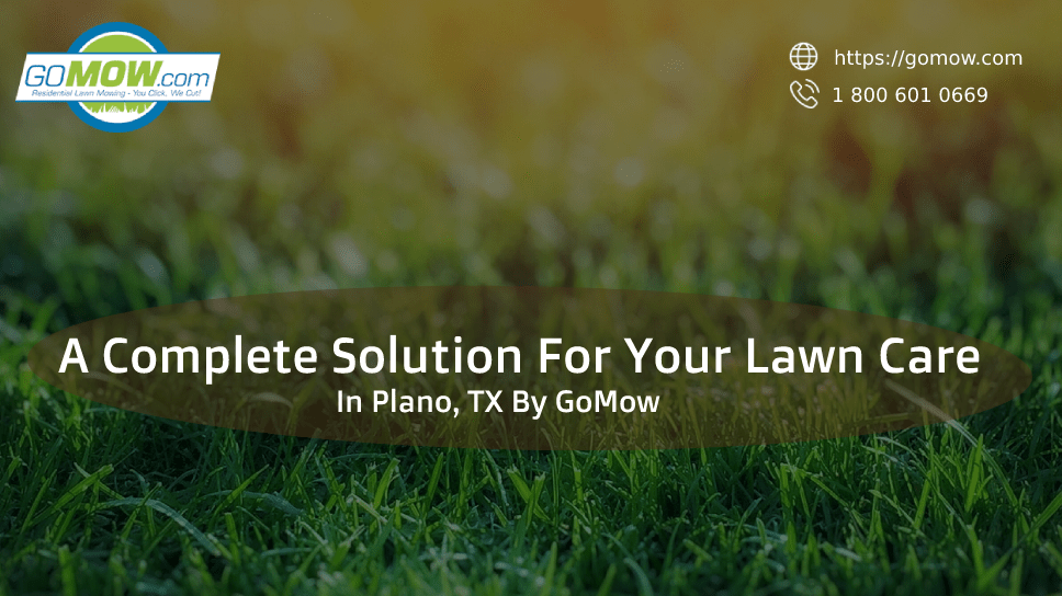 A Complete Solution For Your Lawn Care In Plano, TX By GOMOW