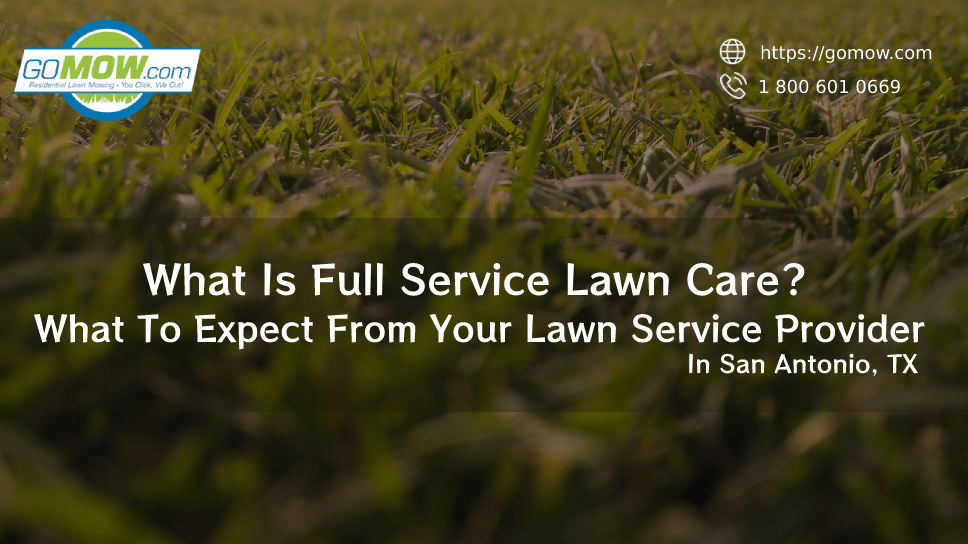 What Is Full Service Lawn Care? What To Expect From Your Lawn Service Provider In San Antonio, TX