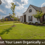 how-to-treat-your-lawn-organically-in-san-antonio-tx