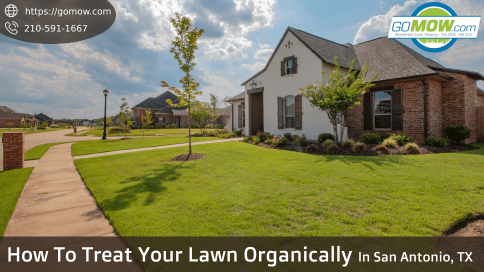 How To Treat Your Lawn Organically In San Antonio, TX