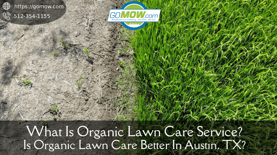 What Is Organic Lawn Care Service? Is Organic Lawn Care Better In Austin, TX?