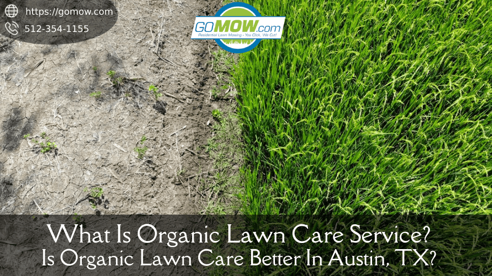 Organic lawn care service new arrivals