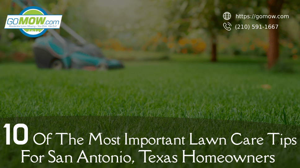 10 Of The Most Important Lawn Care Tips For San Antonio, Texas Homeowners