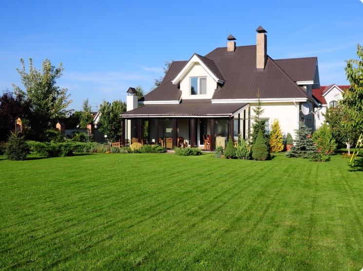 Hire Texas's Best local Lawn Care Service