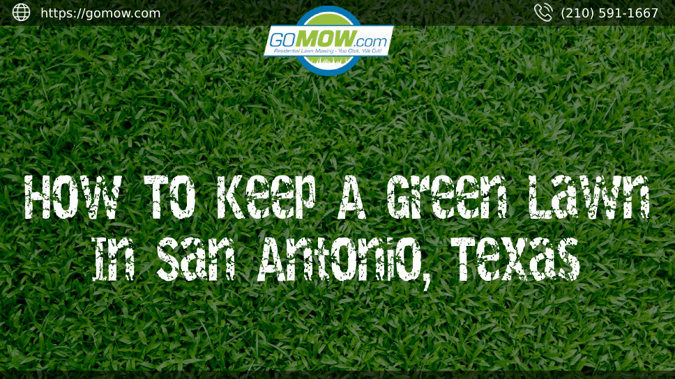 How To Keep A Green Lawn In San Antonio, Texas