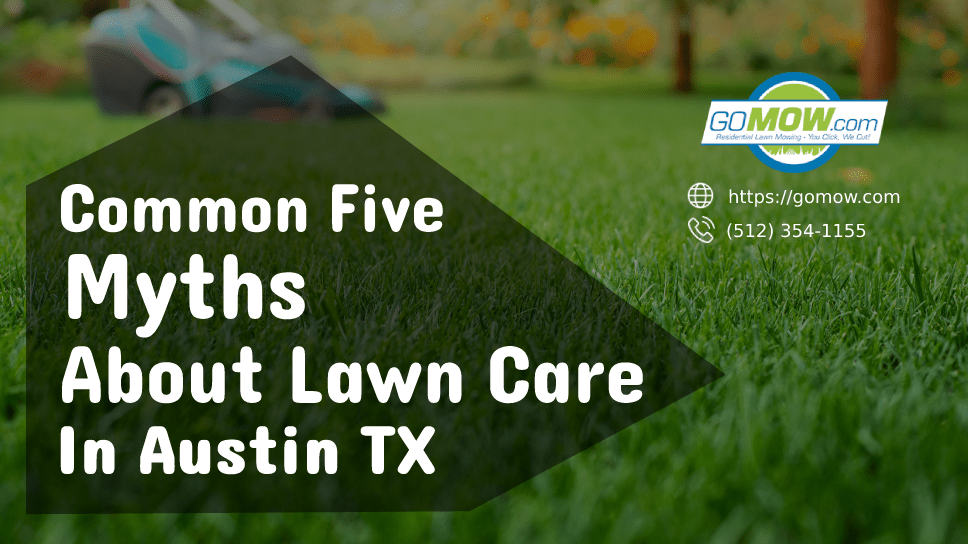 Common Five Myths About Lawn Care In Austin TX