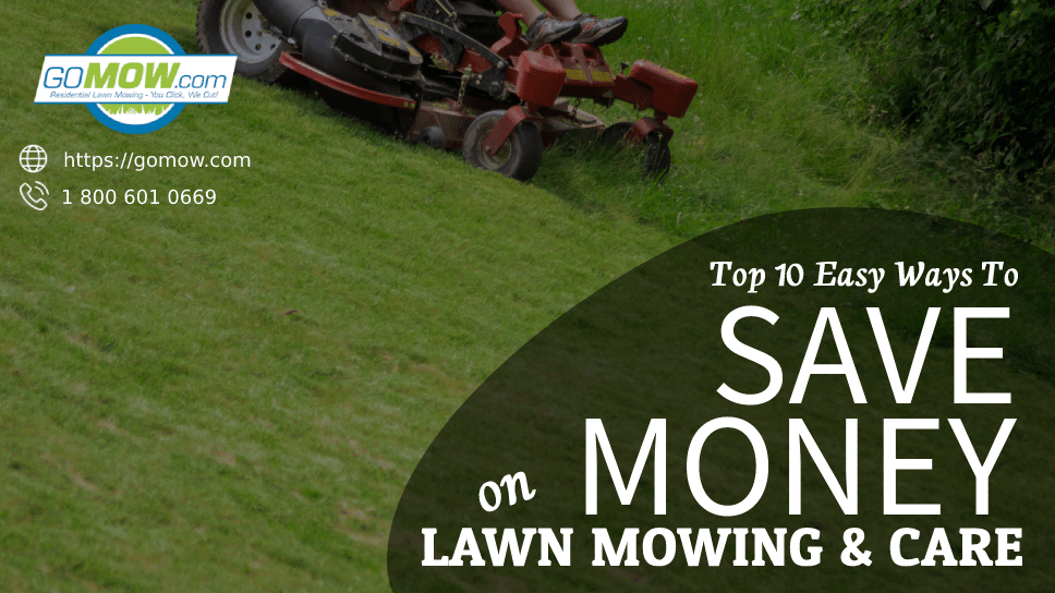 Top 10 Easy Ways To Save Money On Lawn Mowing Care GoMow