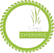 23 Years of Experience