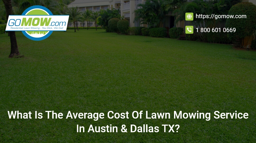what-is-the-average-cost-of-lawn-mowing-service-in-austin-and-dallas-tx