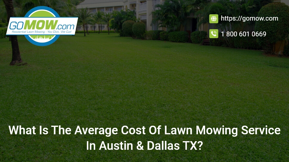 Cost to have online someone mow your lawn