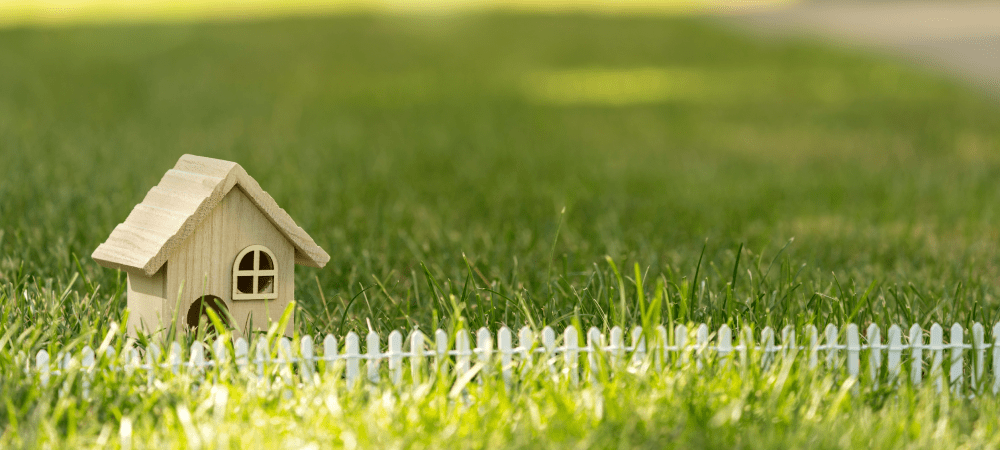 Local Lawn Mowing Service In Hutto, Texas