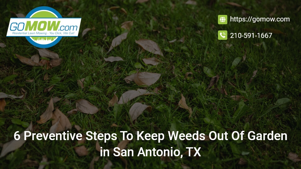 6 Preventive Steps To Keep Weeds Out Of Garden In San Antonio, TX