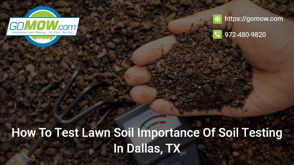 how-to-test-lawn-soil-importance-of-soil-testing-in-dallas-tx