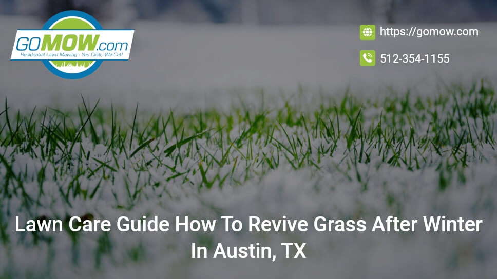 lawn-care-guide-how-to-revive-grass-after-winter-in-austin-tx