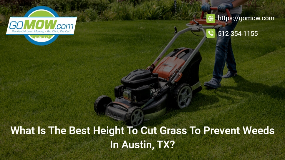 We discount cut grass