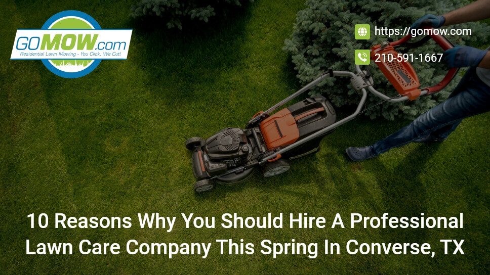 10 Reasons Why You Should Hire A Professional Lawn Care Company This Spring In Converse, TX