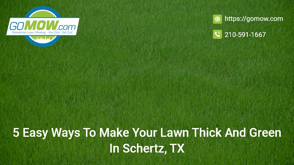 5-easy-ways-to-make-your-lawn-thick-and-green-in-schertz-tx