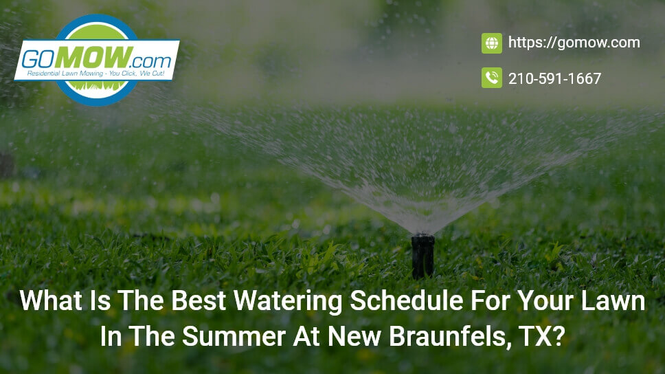 What Is The Best Watering Schedule For Your Lawn In The Summer At New Braunfels, TX?