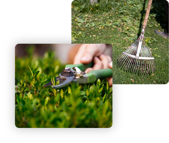 The Easiest Way To Get Lawn Services