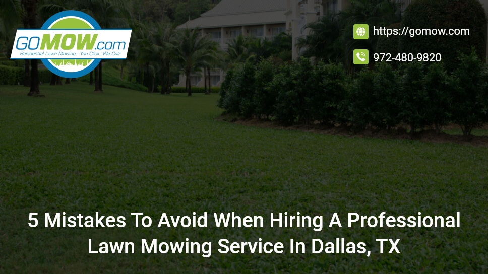 5-mistakes-to-avoid-when-hiring-a-professional-lawn-mowing-service-in-dallas-tx