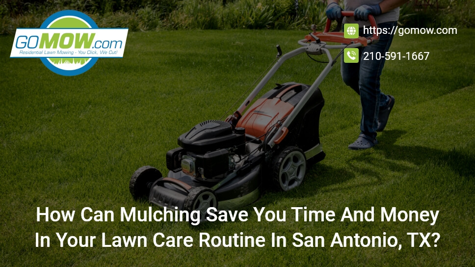 Can Mulching Save You Time And Money In Your Lawn Care Routine In San Antonio, TX?