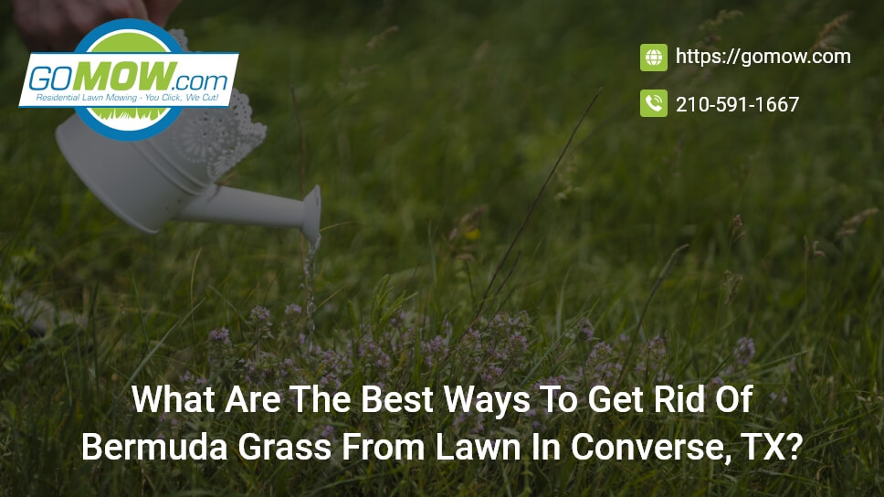 What Are The Best Ways To Get Rid Of Bermuda Grass From Lawn In Converse, TX?