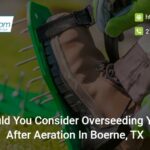 why-should-you-consider-overseeding-your-lawn-after-aeration-in-boerne-tx