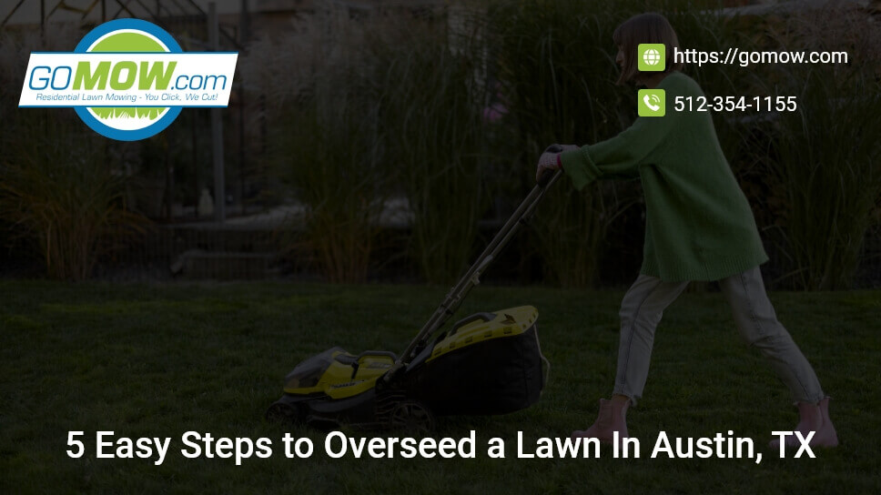 5-easy-steps-to-overseed-a-lawn-in-austin-tx