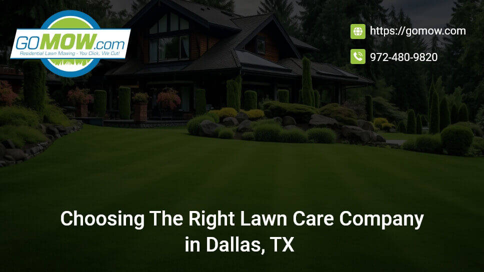 Choosing The Right Lawn Care Company In Dallas, TX