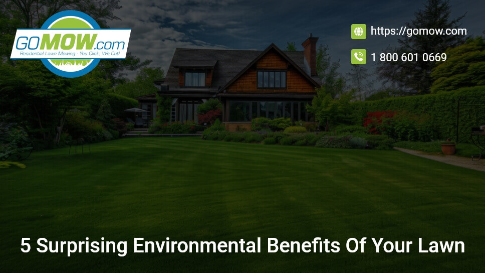 5 Surprising Environmental Benefits Of Your Lawn
