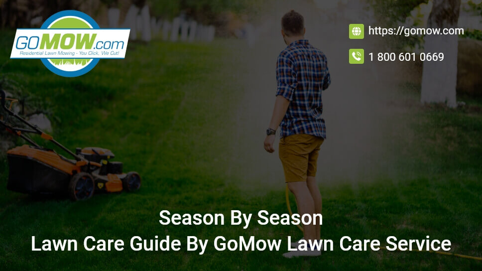 Season By Season Lawn Care Guide By Gomow Lawn Care Service