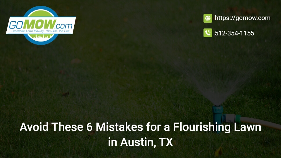 Avoid These 6 Mistakes for a Flourishing Lawn in Austin
