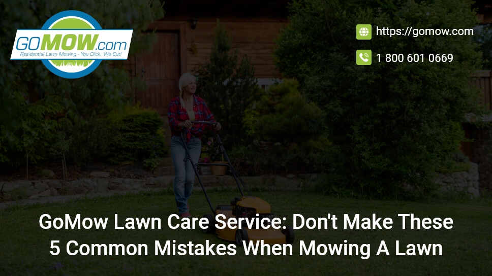 Gomow Lawn Care Service: Don't Make These 5 Common Mistakes When Mowing a Lawn