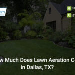 how-much-does-lawn-aeration-cost-in-dallas-tx